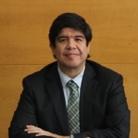 Hernán Cabrera Pichuante